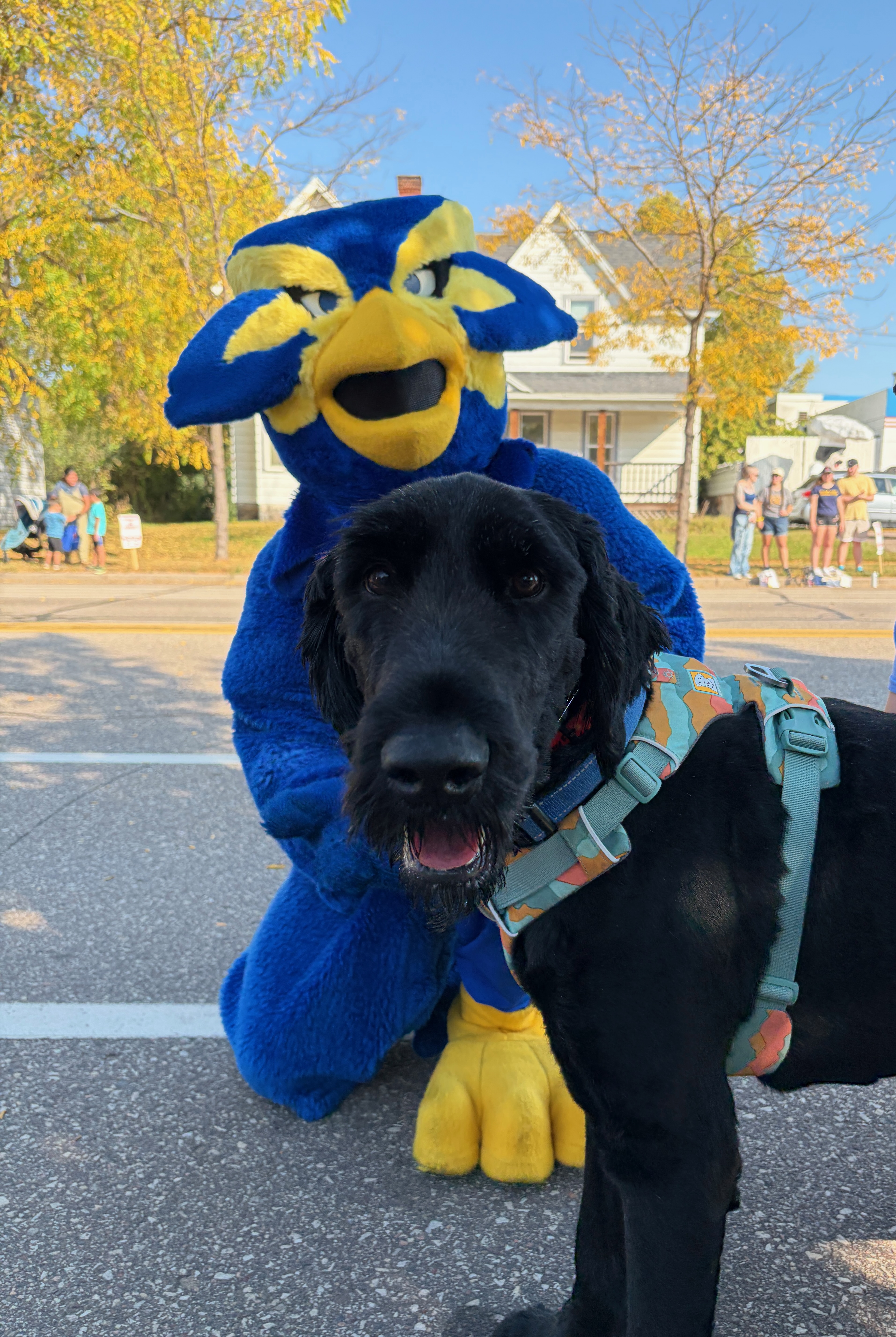 Blu posing with the UW–Eau Claire Blugold mascot