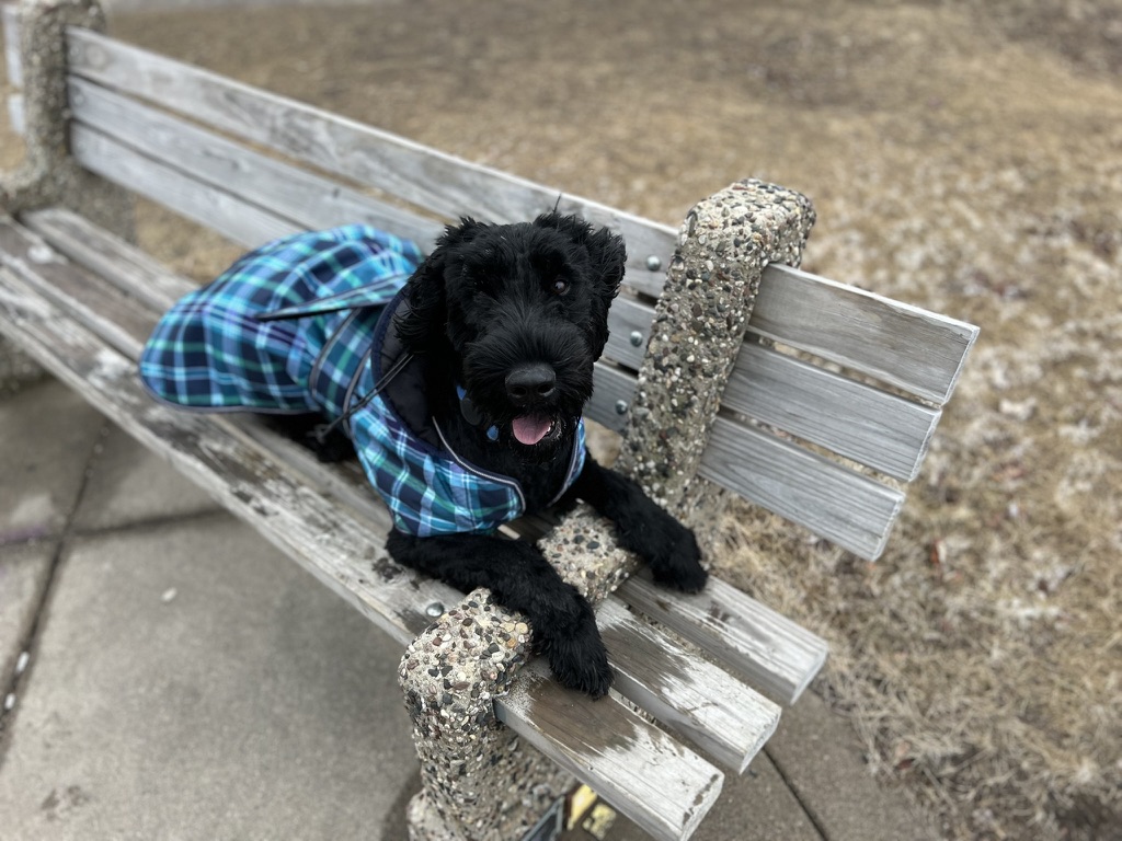 A younger Blu lying on a park bench